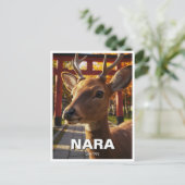 鹿in奈良公園日本旅行 ポストカード (スタンド正面)