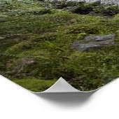 麓の熱帯雨林を通る道 ポスター (角)