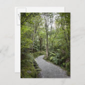 麓の熱帯雨林を通る道 ポストカード (正面/裏面)