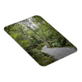 麓の熱帯雨林を通る道 マグネット (右側)