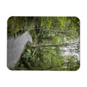 麓の熱帯雨林を通る道 マグネット (横)