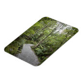 麓の熱帯雨林を通る道 マグネット (左側)