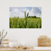 麦芽 ポスター (キッチン)