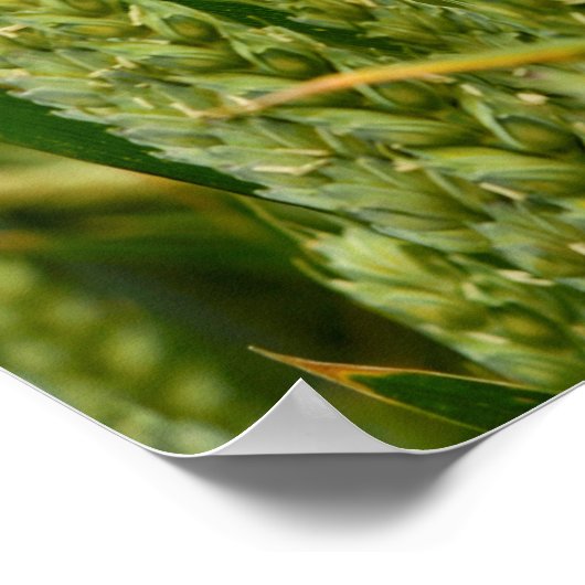 麦芽 ポスター (角)