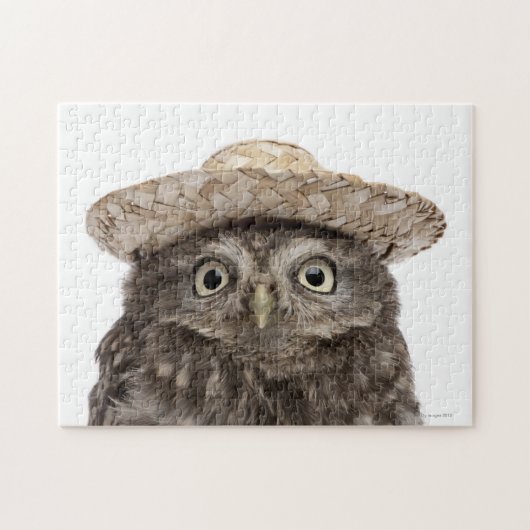 麦藁帽子をかぶったリトルフクロウ – Athene noctua ジグソーパズル (横)