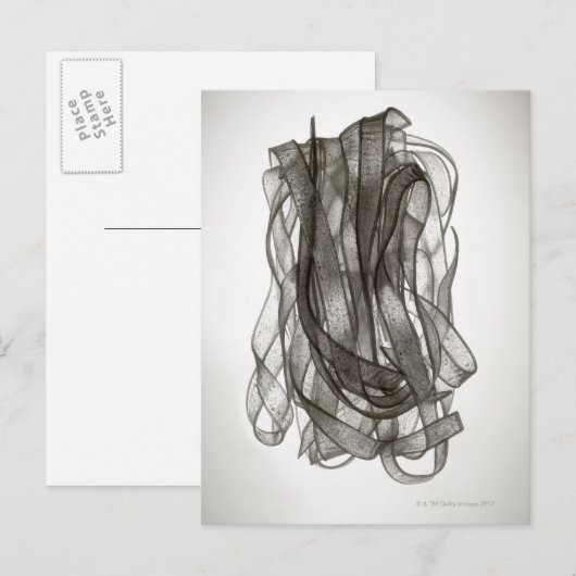 麺中国の ポストカード (正面/裏面)