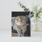 麺 ポストカード (スタンド正面)