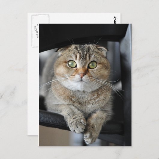 麺 ポストカード (正面/裏面)