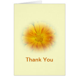 黄かわいらしデイジー花