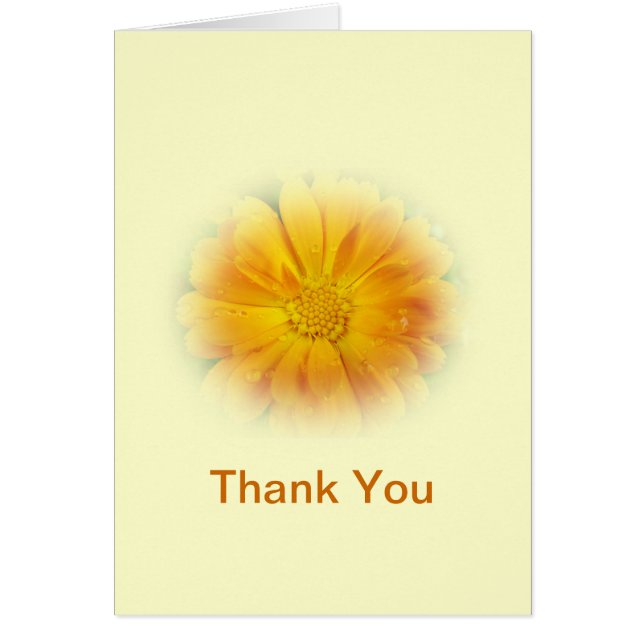 黄かわいらしデイジー花 (正面)