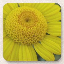 黄かわいらしマーグエライト角紙コースター コースター