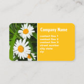 黄かわいらし白デイジーフローラ写真 名刺 (裏面)
