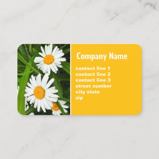 黄かわいらし白デイジーフローラ写真 名刺 (裏面)