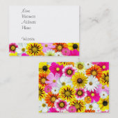 黄かわいらし色いピンクの白い花のデイジー 名刺 (正面/裏面)