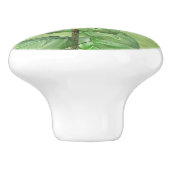 黄かわいらし色ヒマワリとオレンジバタフライ セラミックノブ (側面)