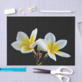 黄かわいらし色プルメリアフローラ写真 薄葉紙 (クラフト)