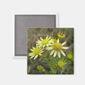 黄かわいらし色ワイルドフラワーマグネット マグネット (正面/裏面)