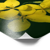 黄かわいらし色野ゼラニウム花8x10 フォトプリント            (角)