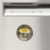 黄きのこ磁石 マグネット (インサイチュ (食洗機))