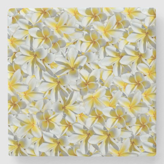 黄と白のフランジパニ団 ストーンコースター (正面)