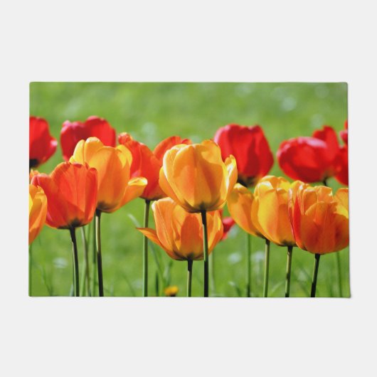 黄と赤のチューリップ ドアマット (正面)