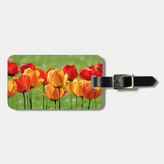 黄と赤のチューリップ ラゲッジタグ (正面横)