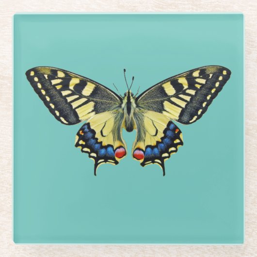 黄と黒 ガラスコースター (正面)