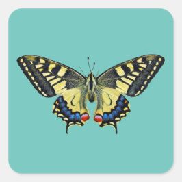 黄と黒 スクエアシール