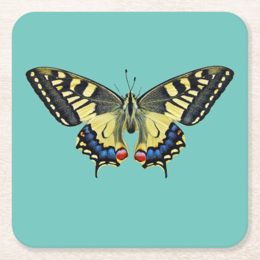 黄と黒 スクエアペーパーコースター (正面)