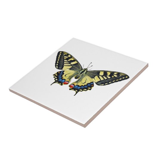 黄と黒 タイル (側面)