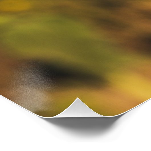 黄ひまわり最高のの写真 ポスター (コーナー)