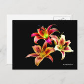 黄エレガント色ピンクデイリーフローラのトリオ ポストカード (正面/裏面)