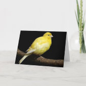 黄カナパーソナライズされたリア カード (正面)