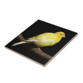 黄カナリア タイル (側面)