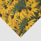 黄カラフル色デイジーフローラ写真 薄葉紙 (詳細)