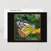 黄カラフル色蝶はがき ポストカード (正面/裏面)