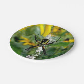 黄クモ ペーパープレート (アングル)