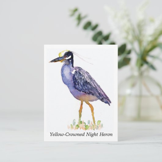 黄クラウン付きナイトヘロン葉書 ポストカード (スタンド正面)