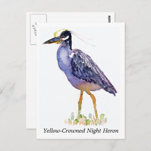 黄クラウン付きナイトヘロン葉書 ポストカード (正面/裏面)