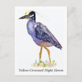 黄クラウン付きナイトヘロン葉書 ポストカード (正面)