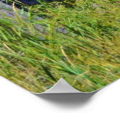 黄クラシック色の野草に囲まれた古い納屋 ポスター (角)