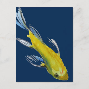 黄コイ日本の鯉の水彩画魚 ポストカード