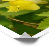 黄スナップドラゴンズのポスター ポスター (角)