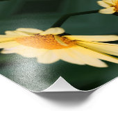 黄デイジーフラワークローズアップ鏡抽象芸術8x10 フォトプリント            (角)