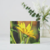 黄デイジー ポストカード (スタンド正面)