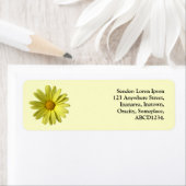 黄デイジー ラベル (インサイチュ)