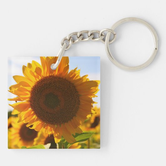 黄ハーディひまわりアートひまわりの写真 キーホルダー (裏面)