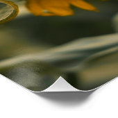 黄ハーディひまわりアートひまわりの写真 ポスター (コーナー)