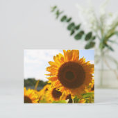 黄ハーディひまわりアートひまわりの写真 ポストカード (スタンド正面)