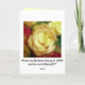 黄バラ カード (裏面)